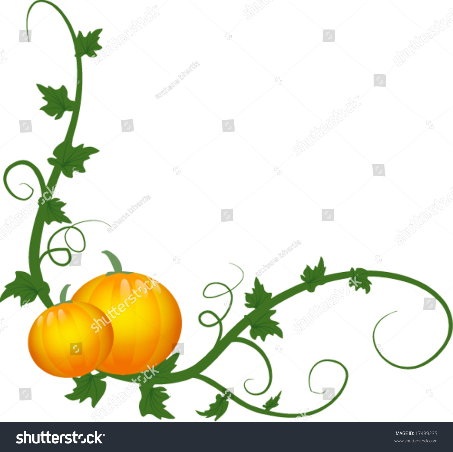 Pumpkin Vines Stock Vector Illustration 17439235 : Shutterstock