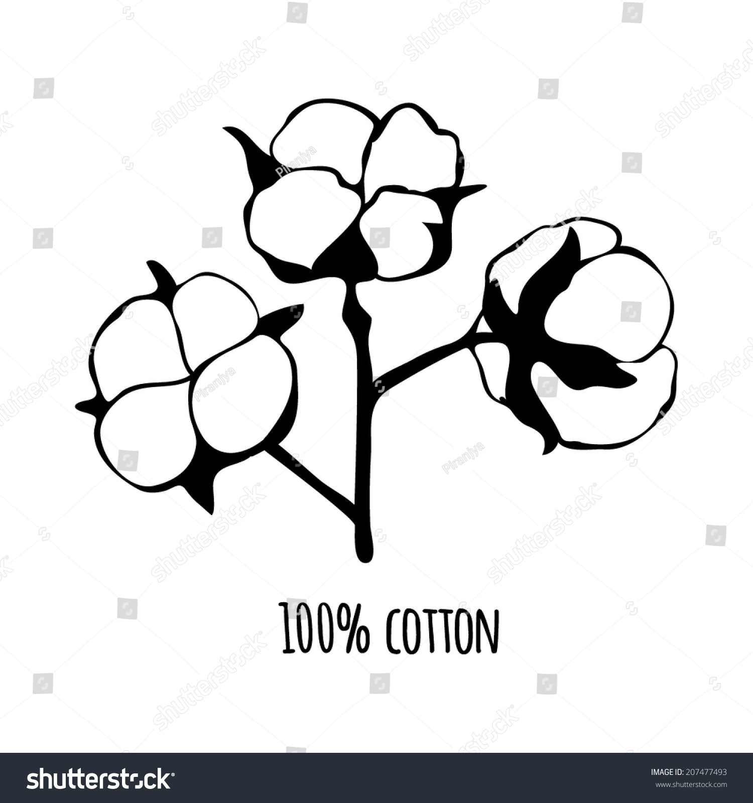 Pure Organic Cotton Logo Vector Illustration Stock Vector 207477493 ...