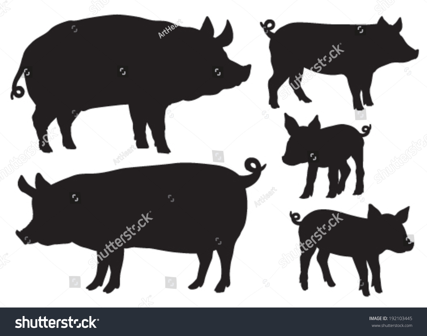 Black And White Pig SVG