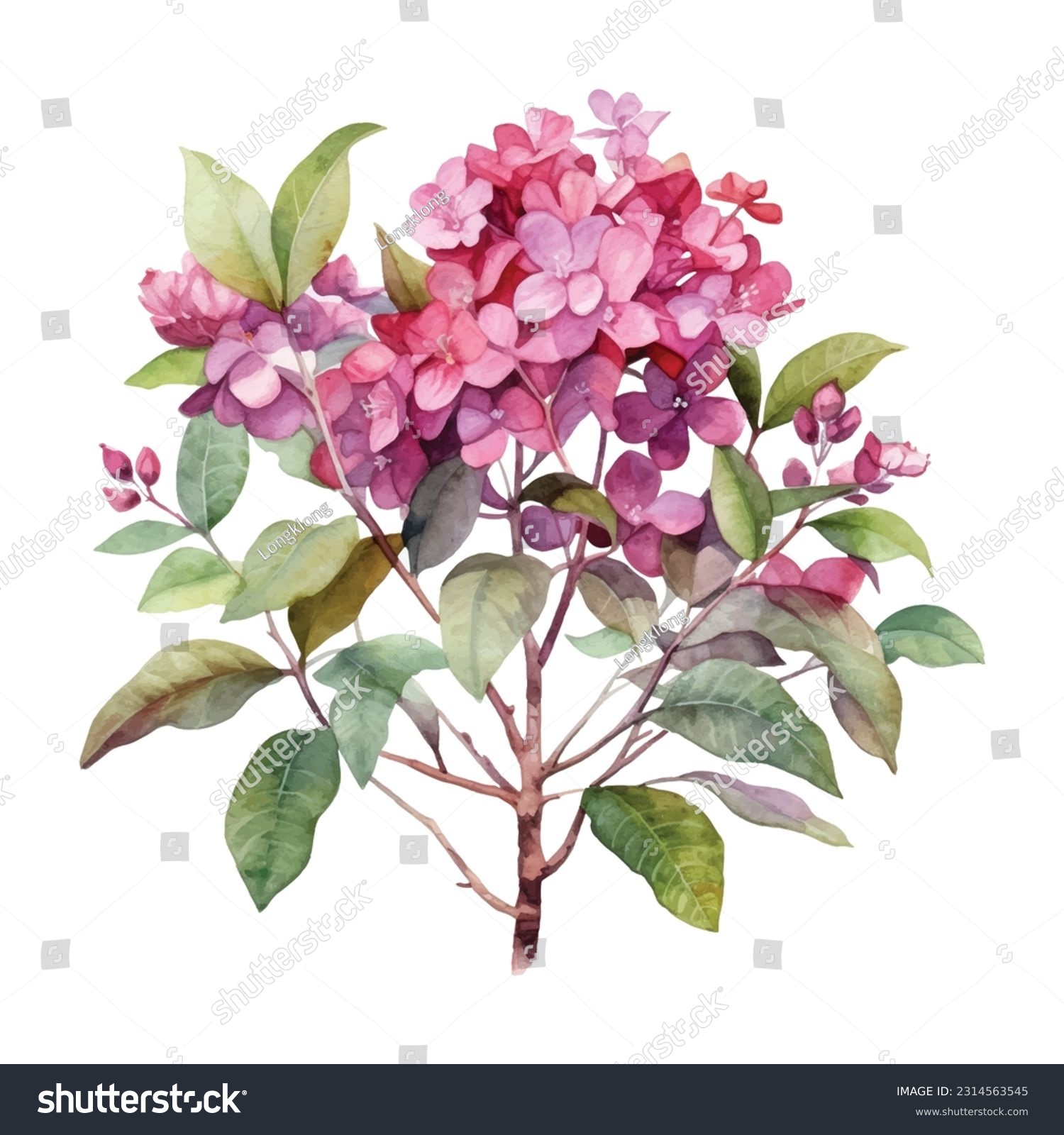 SVG of Queen Crape Myrtle watercolor illustration. Hand drawn underwater element design. Artistic vector marine design element. Illustration for greeting cards, printing and other design projects. svg