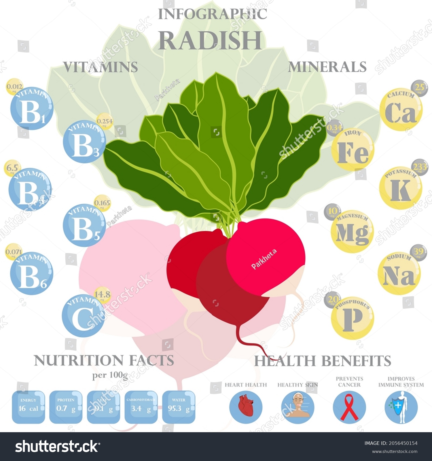 Radish Nutrition Facts Health Benefits Infographic Stock Vector Royalty Free 2056450154 6305