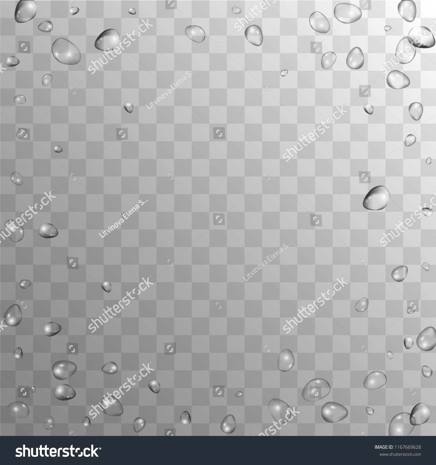 Rain Drops On Transparent Background Realistic Stock Vector (Royalty ...