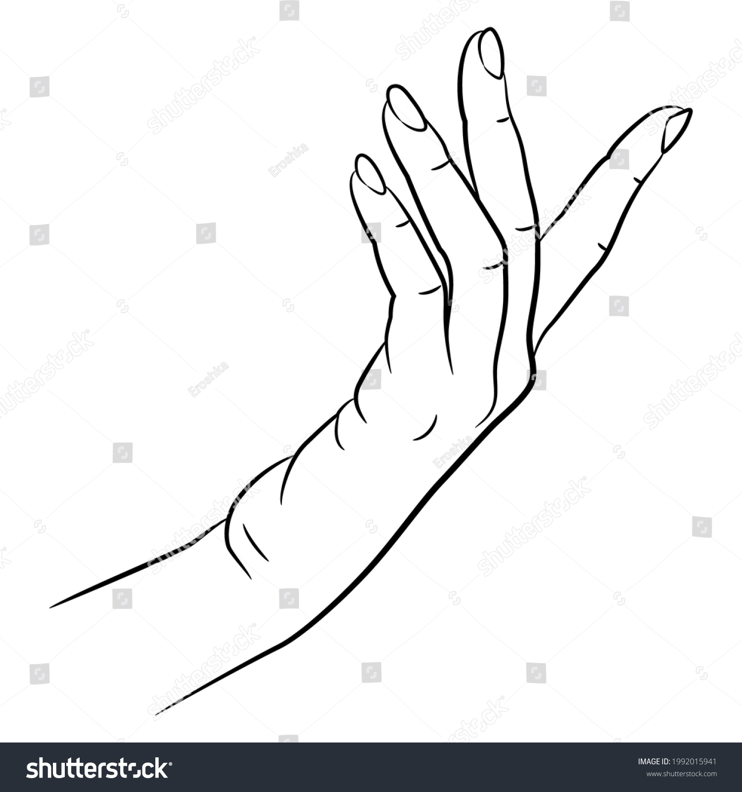 Raised Beautiful Female Hand Elegant Gesture Stock Vector (Royalty Free ...