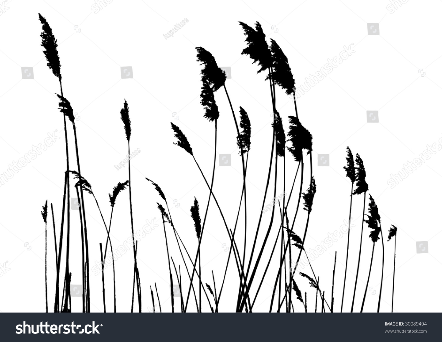 Real Grass Silhouette Vector Two Colors Stock Vector 30089404 ...