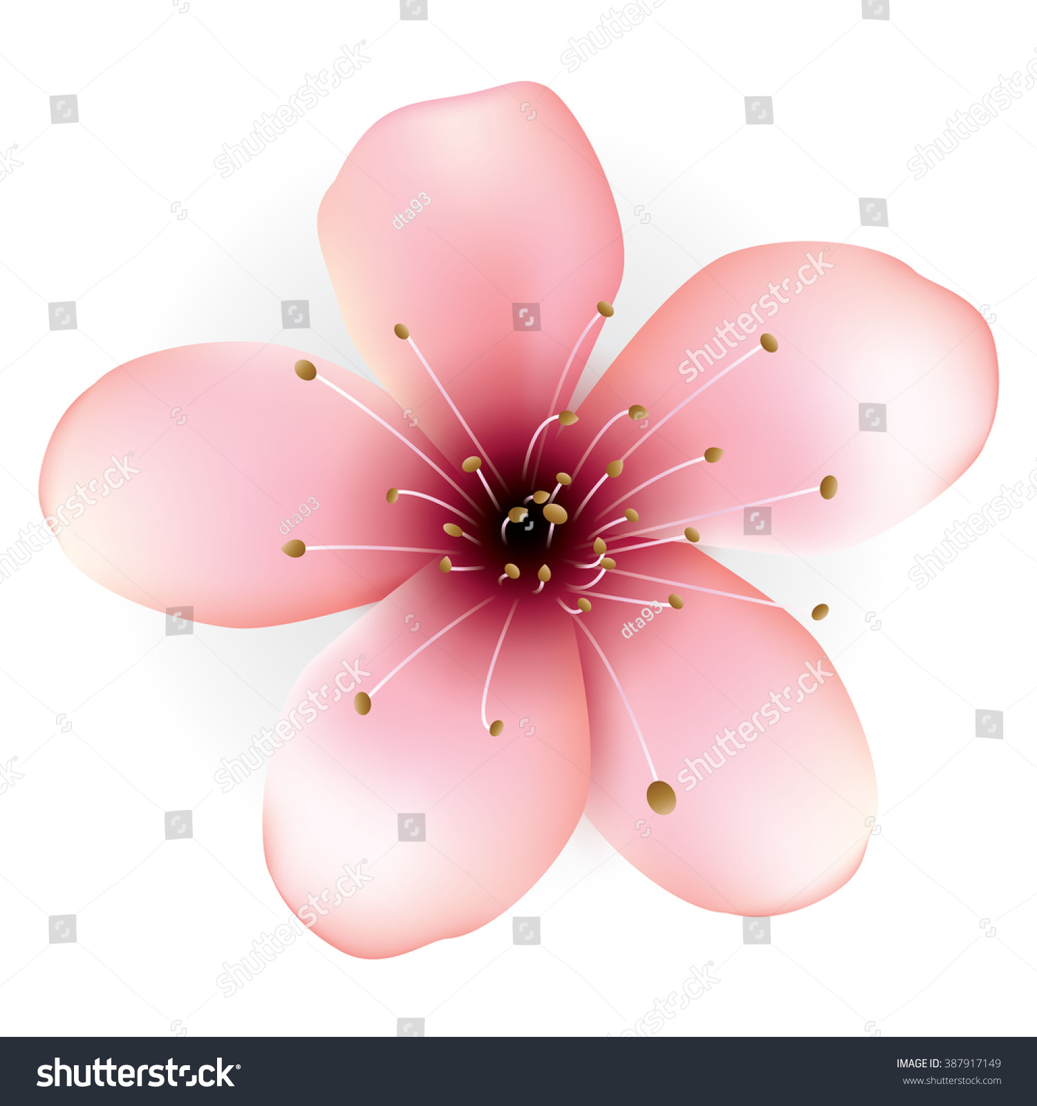 Realistic Beautiful Pink Flowers Illustration Stock Vector (Royalty ...