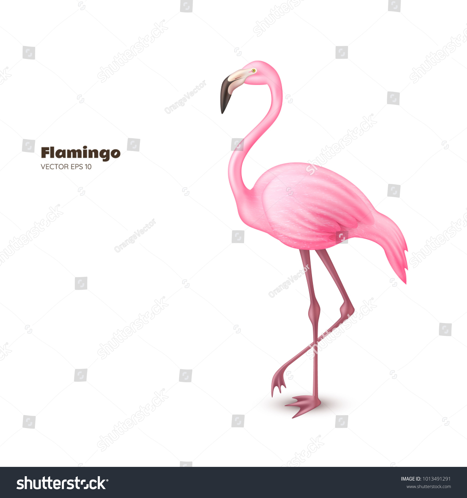 Realistic 3d Flamingo Pink Vector Tropical」のベクター画像素材 