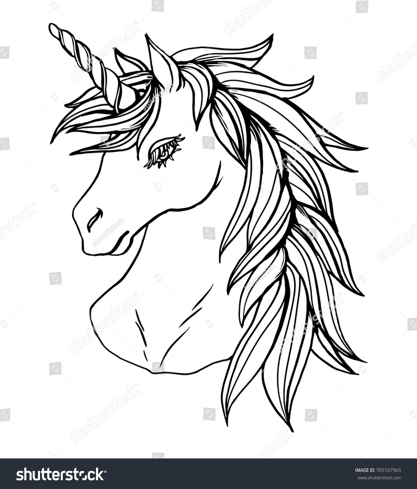 Realistic Detailed Hand Drawn Illustration Unicorn Stock Vector