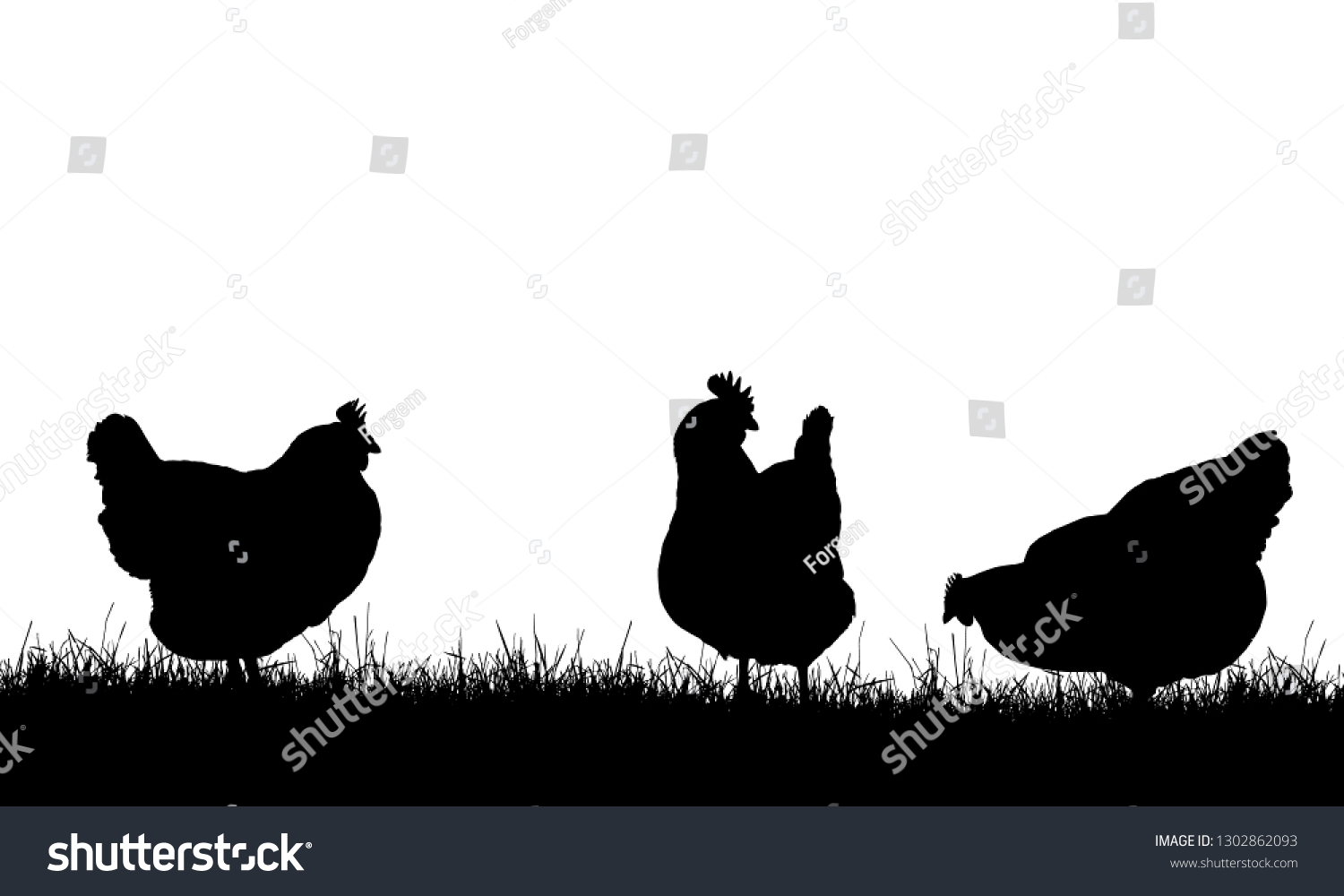 Realistic Illustration Three Silhouettes Hens On Stock Vector Royalty Free 1302862093 