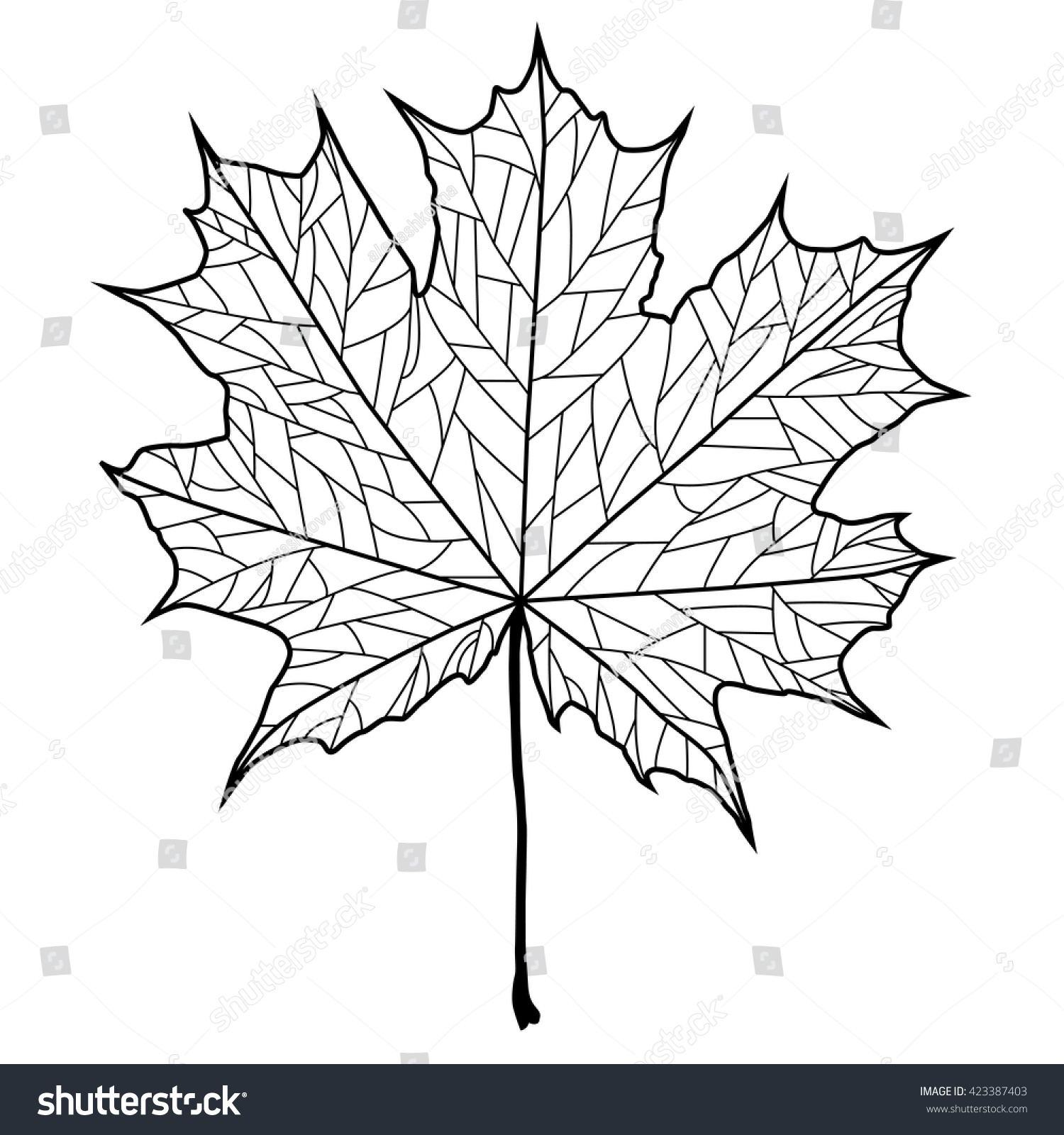 Realistic Maple Leaf Black Contour On Stock Vector (royalty Free) 423387403