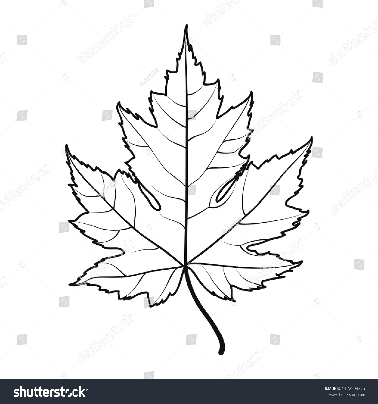 Realistic Maple Leaf Line Drawing Stock Vector Royalty Free 1122909275