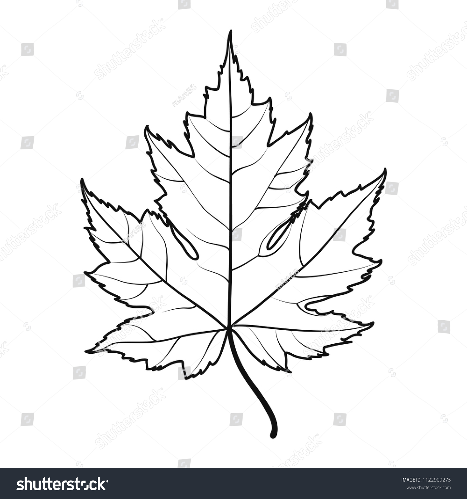 Realistic Maple Leaf Line Drawing เวกเตอร์สต็อก (ปลอดค่าลิขสิทธิ์