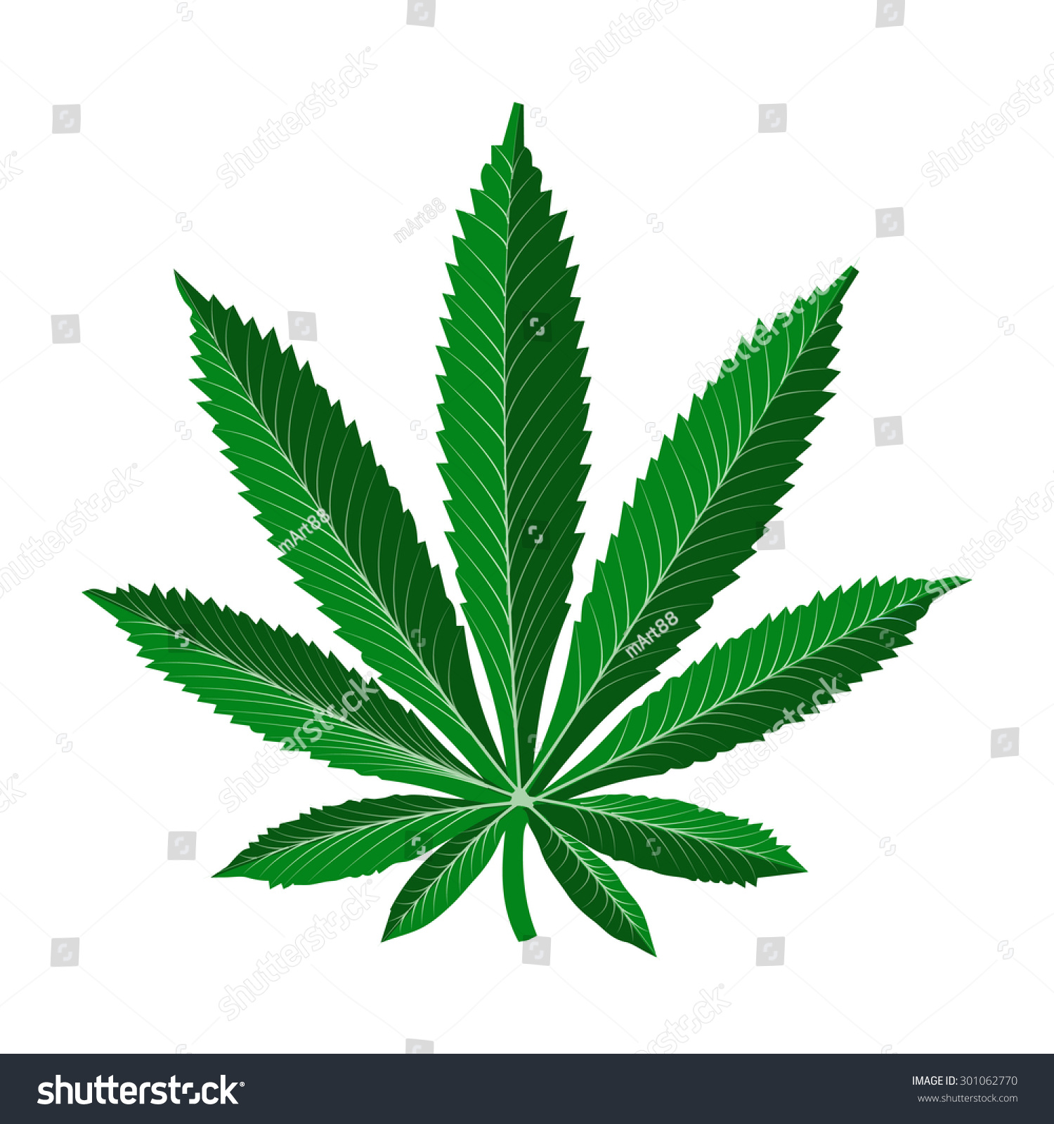 Realistic Marijuana Leaf Stock Vector Illustration 301062770 : Shutterstock