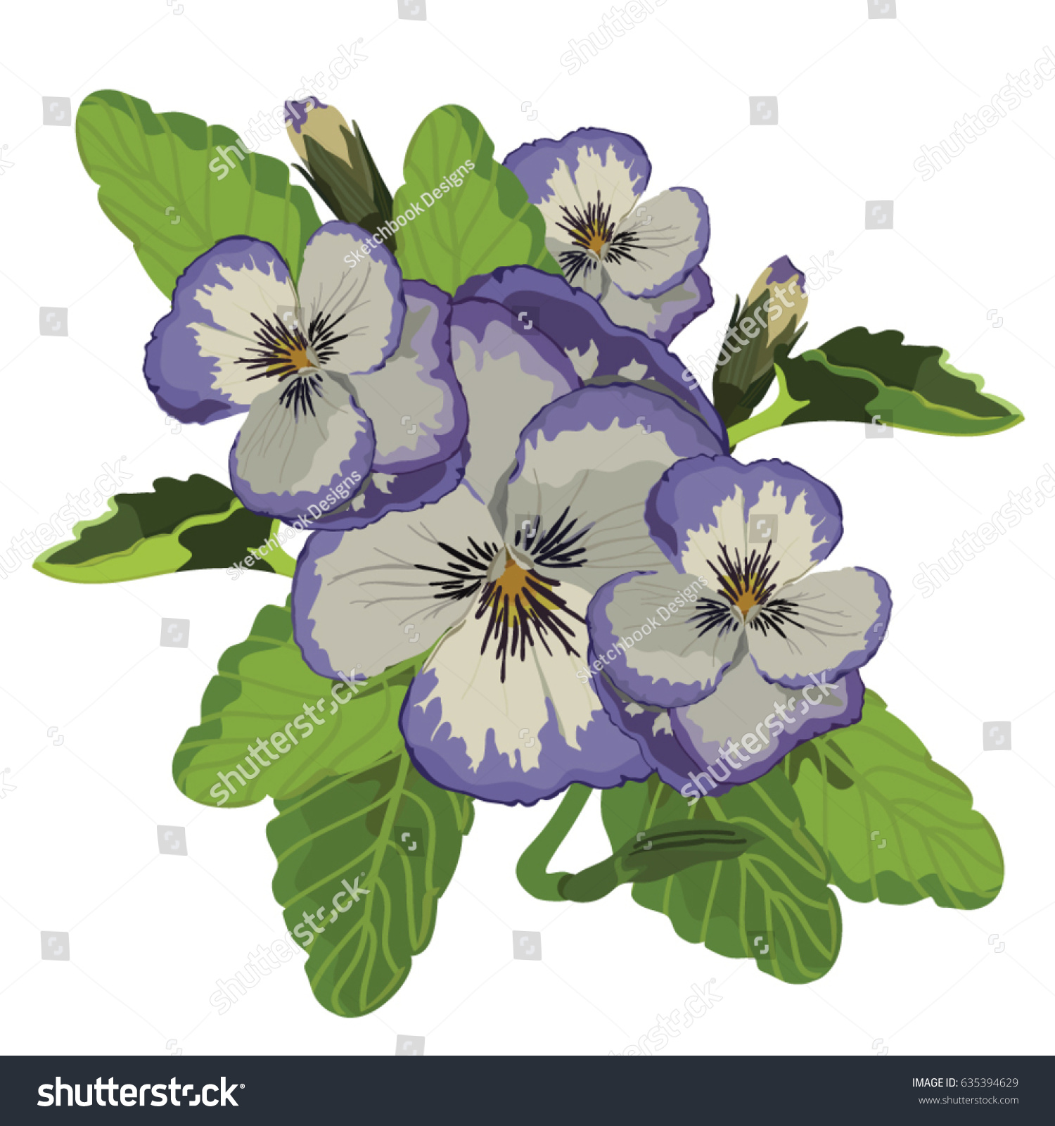 Realistic Purple Pansy Flower Bouquet Isolated Stock Vector Royalty Free 635394629