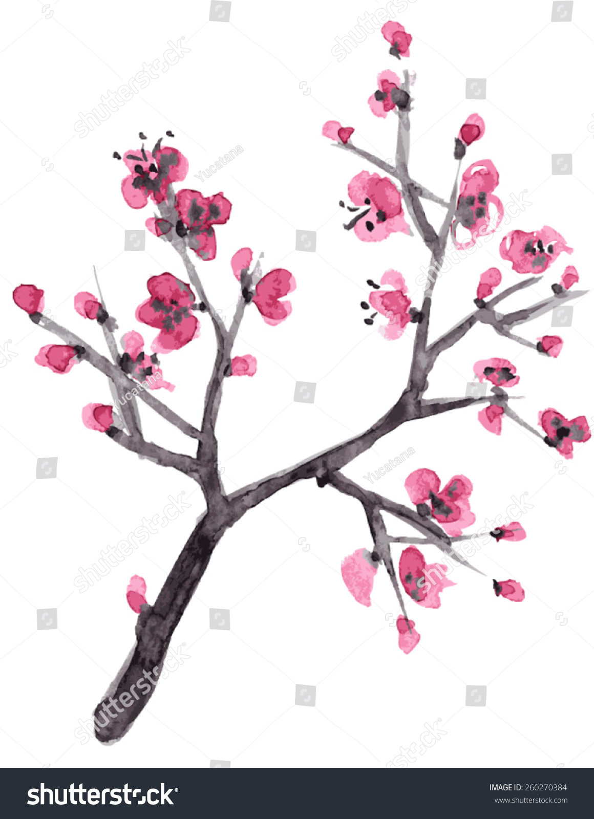 Realistic Sakura Blossom - Japanese Cherry Tree Isolated On White