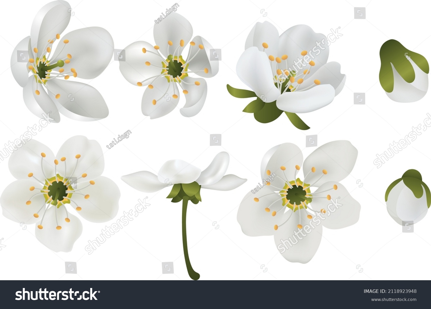 52,360 Pear blossoms Images, Stock Photos & Vectors | Shutterstock