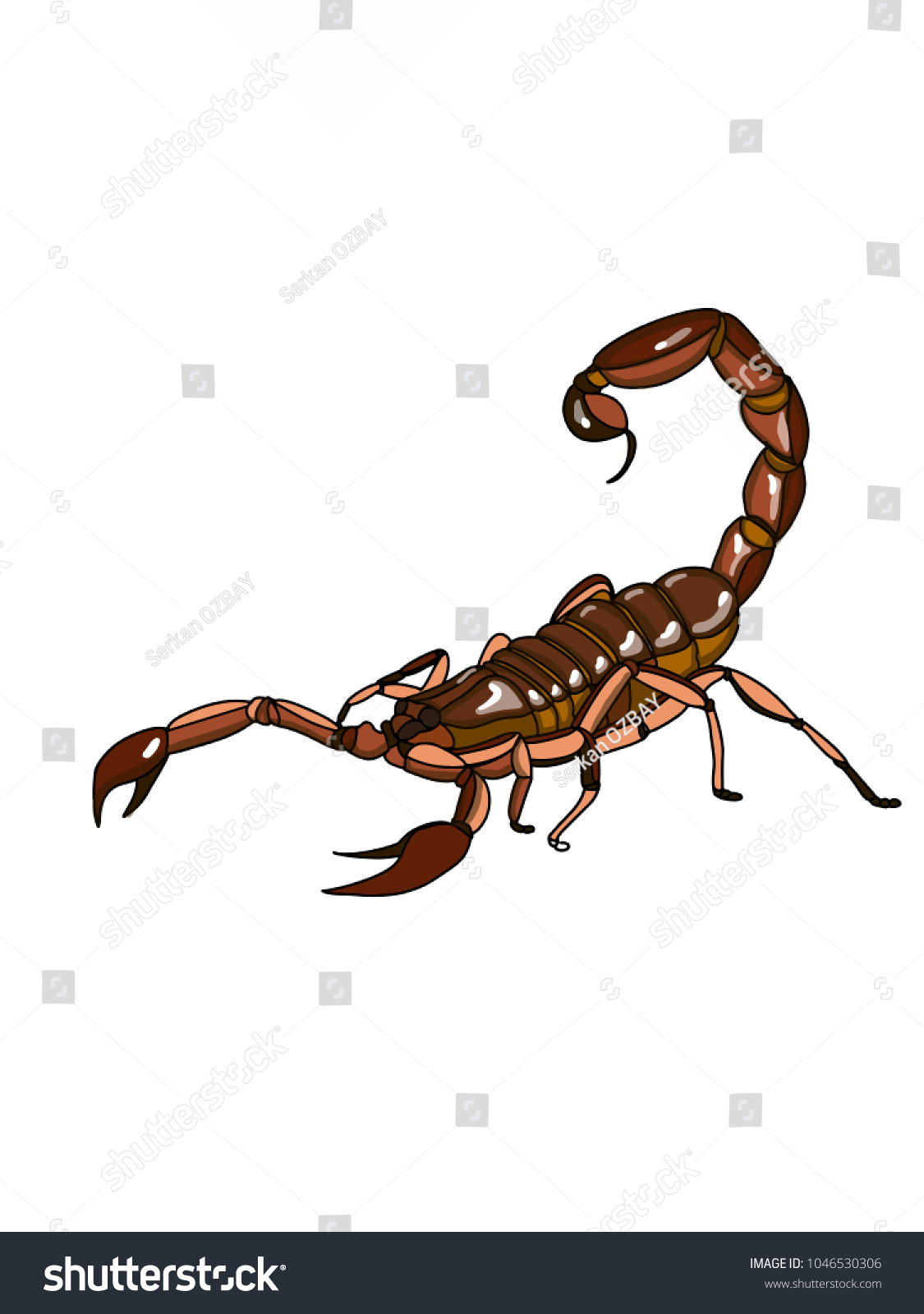 SVG of realistic scorpion cartoon illustration svg