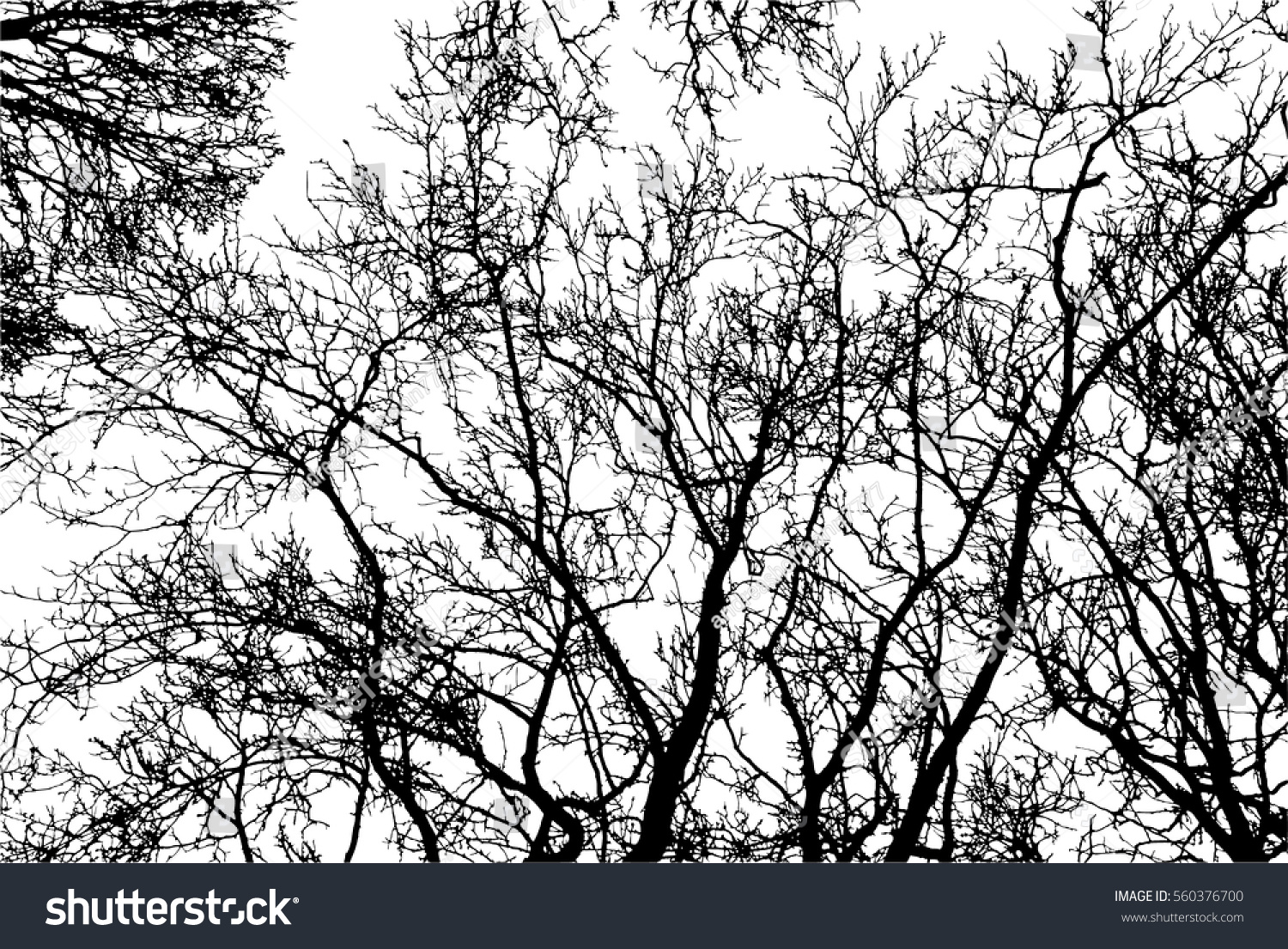 Realistic Silhouette Bush Bare Branches Vector Stock Vector (Royalty ...