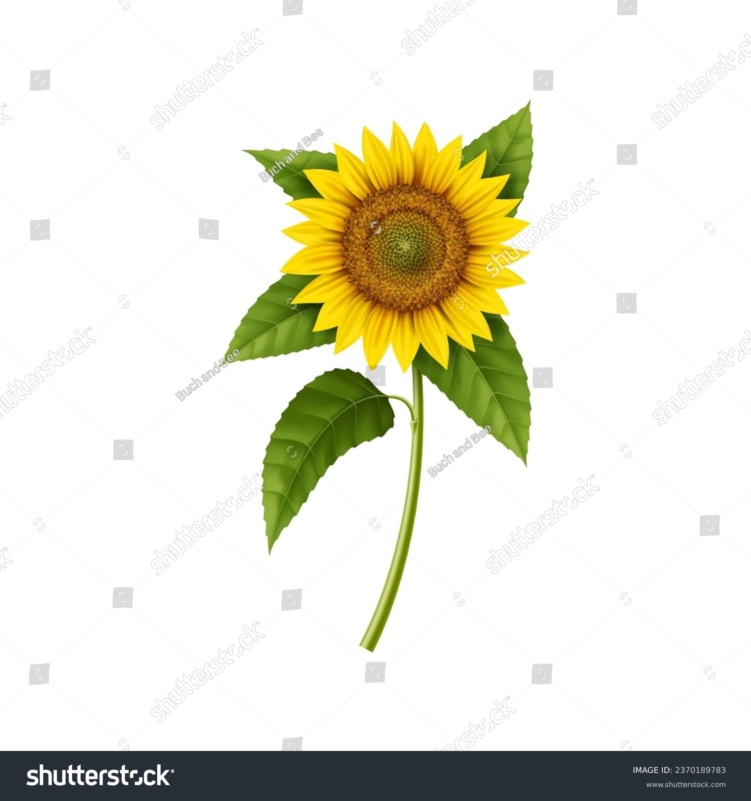 SVG of Realistic sunflower, isolated 3d vector bright and bold garden plant, stands tall with vibrant yellow petals radiating warmth and cheer. Symbol of summer and happiness, source of natural vegetable oil svg