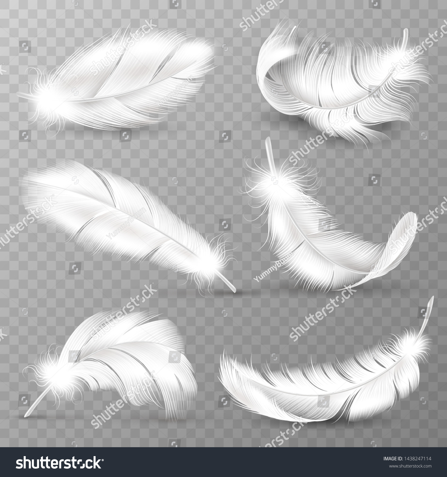 本物の白い羽 鳥は羽毛を生やし ふわふわの羽は落ち 飛ぶ天使の羽 は羽毛を生やした リアルな分離型ベクター画像易透明なガチョウ動物のプルームのロゴセット のベクター画像素材 ロイヤリティフリー