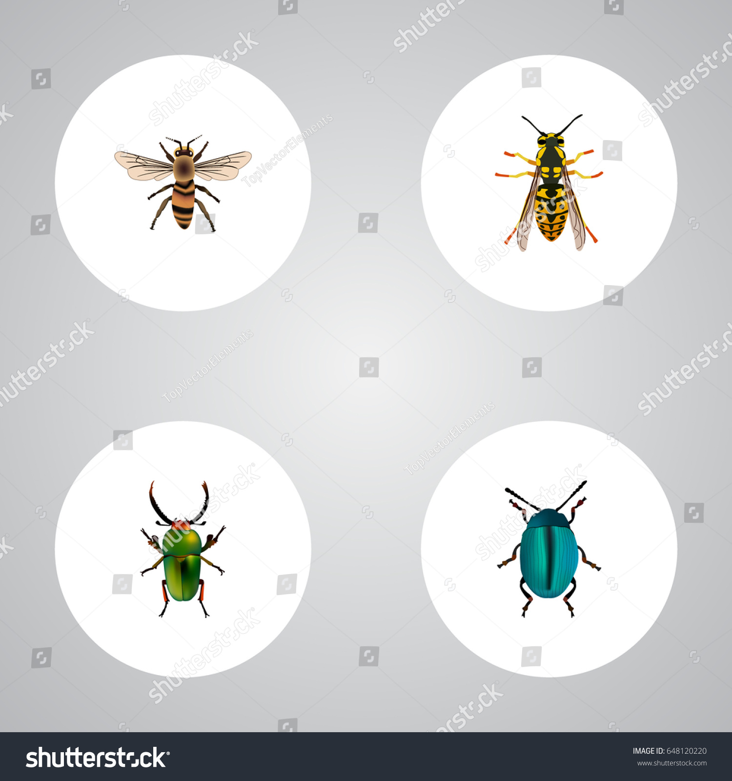 SVG of Realistic Wisp, Bee, Insect And Other Vector Elements. Set Of Bug Realistic Symbols Also Includes Blue, Beetle, Dor Objects. svg