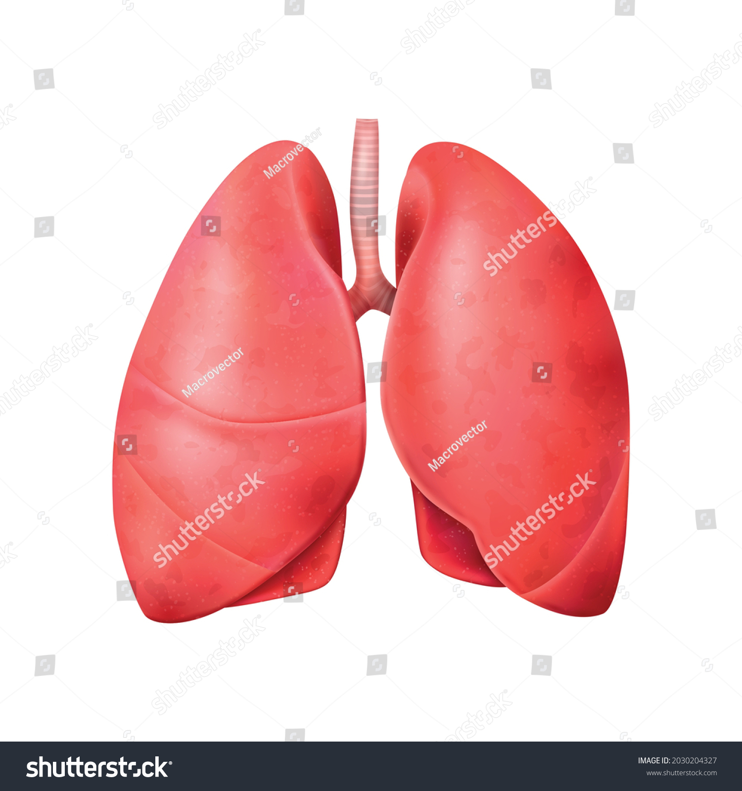 135,243 Vector pneumonia Images, Stock Photos & Vectors | Shutterstock