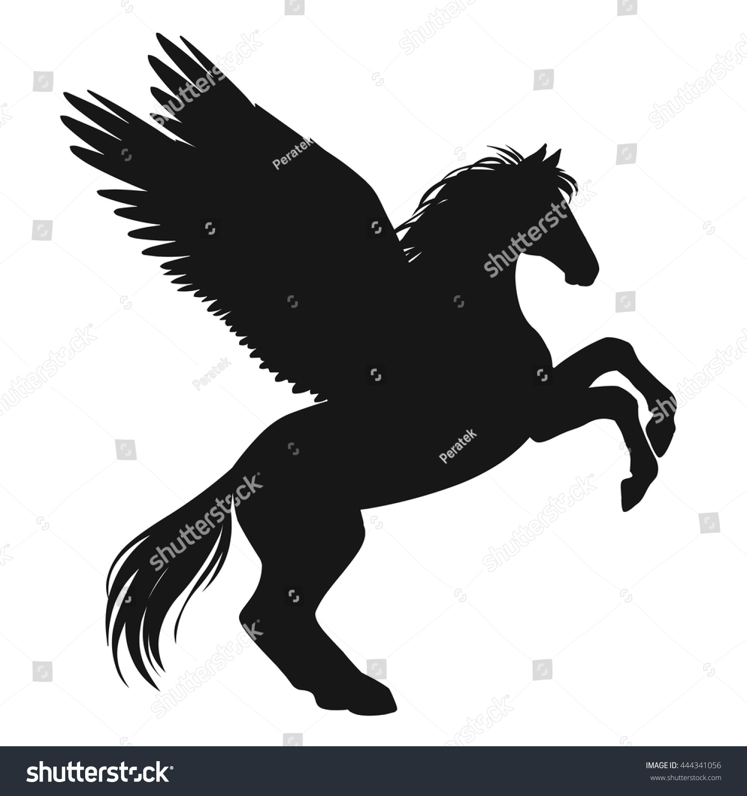 pegasus black and white