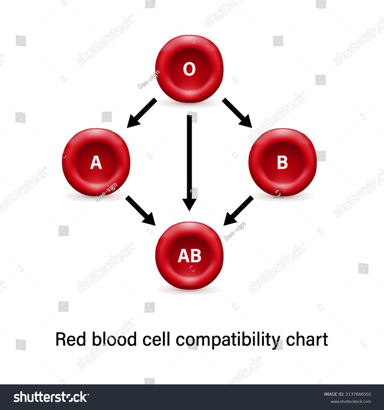 Red Blood Cell Compatibility Chart Blood Stock Vector Royalty Free 2137666501 Shutterstock