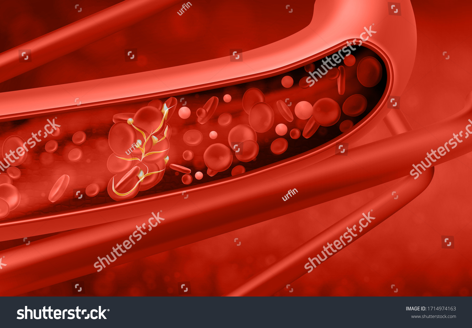 Red Blood Cells Vein Vector Illustration Stock Vector (Royalty Free ...