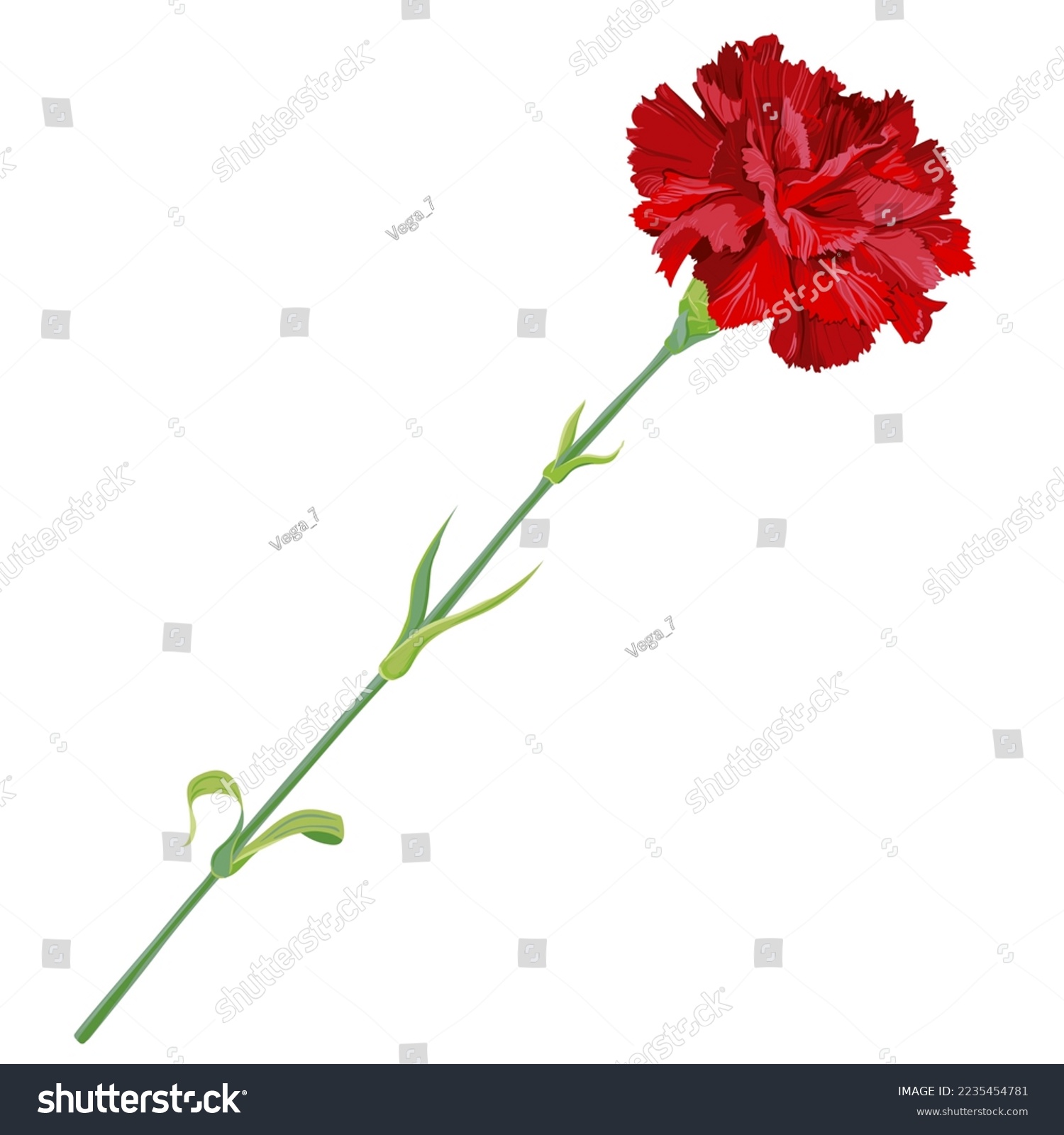 recommend clip art: Red carnation isolated on a white background. Vector clip art for greeting cards for Valentine's Day, Mother's Day, May 9. Flowers for wedding decor.