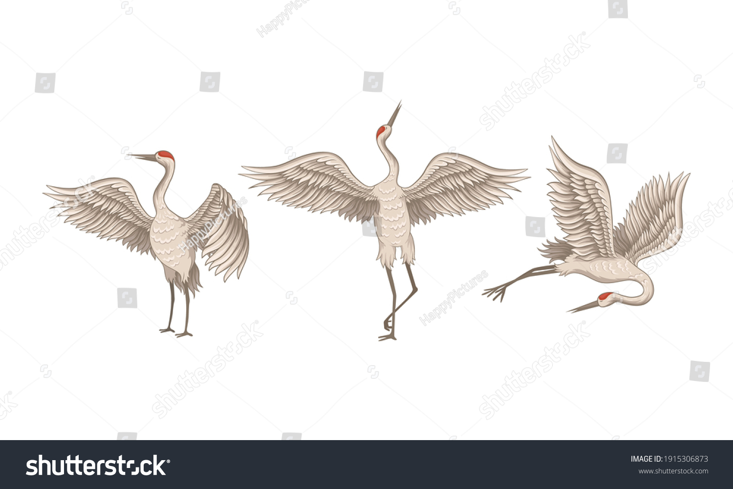 Red Crowned Crane Standing Spreading Wings Stock Vector (Royalty Free ...