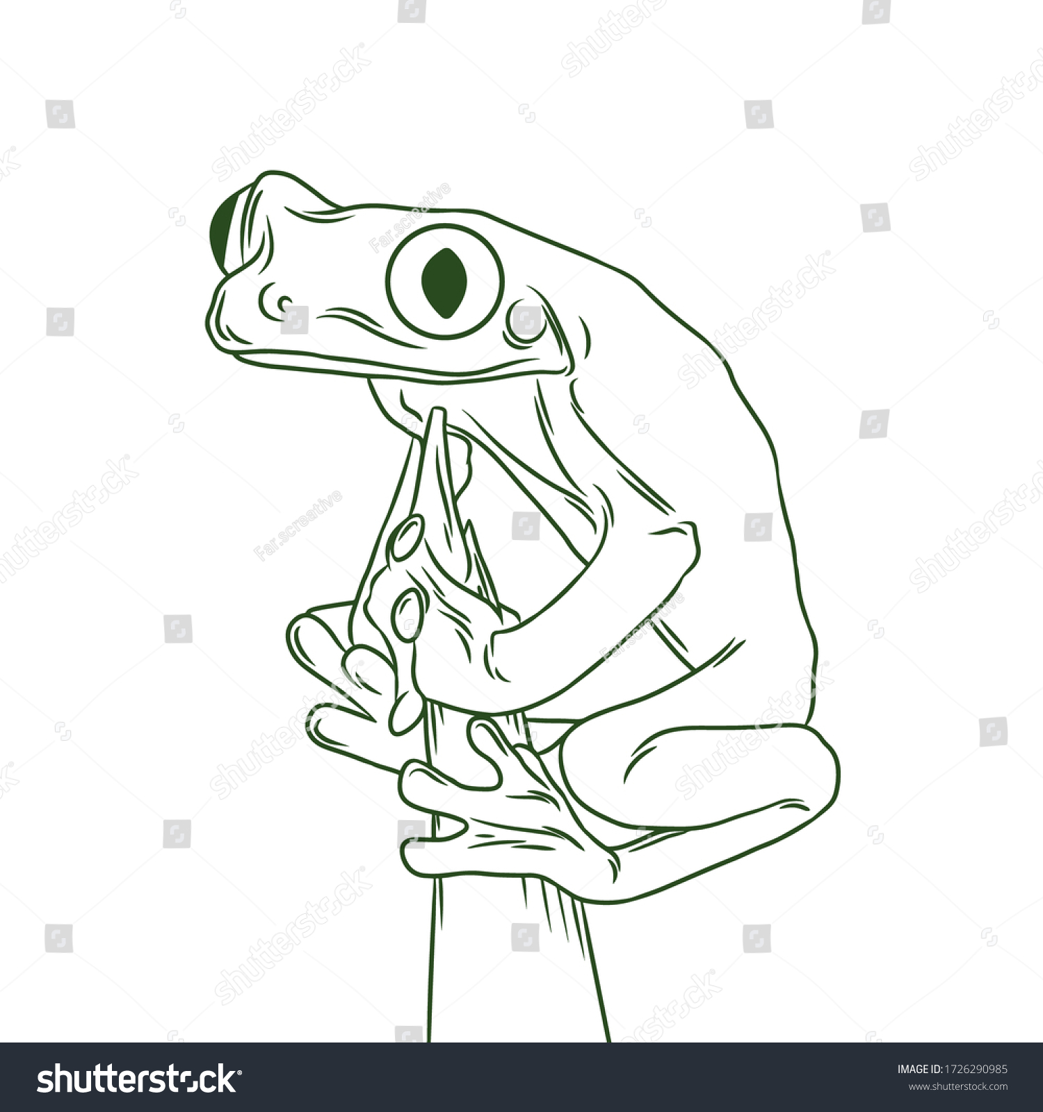 pics Red Eyed Tree Frog Line Drawing https www shutterstock com image vector redeyed tree frog line drawing 1726290985