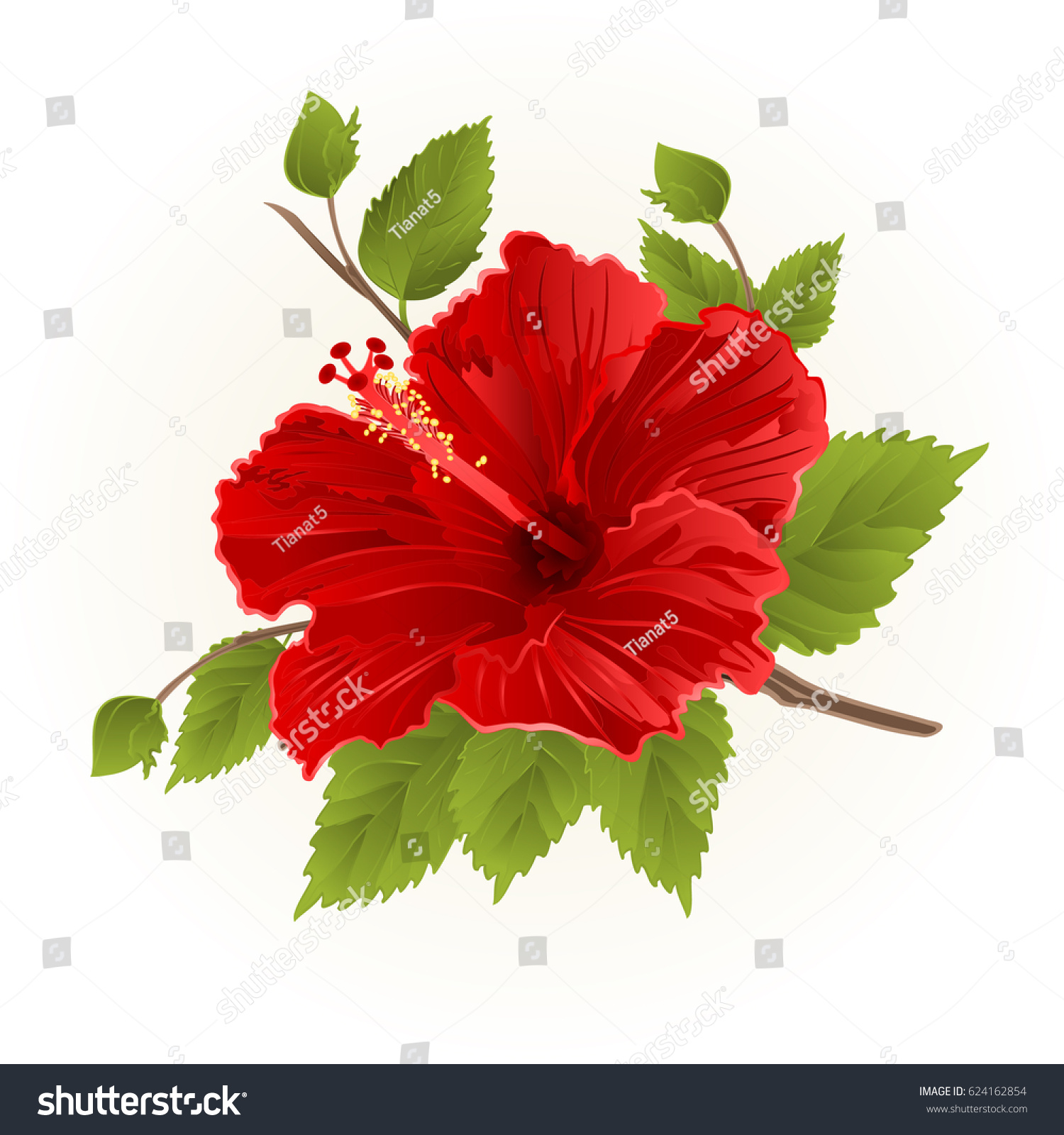 Free Free 61 Tropical Flower Svg Simple SVG PNG EPS DXF File
