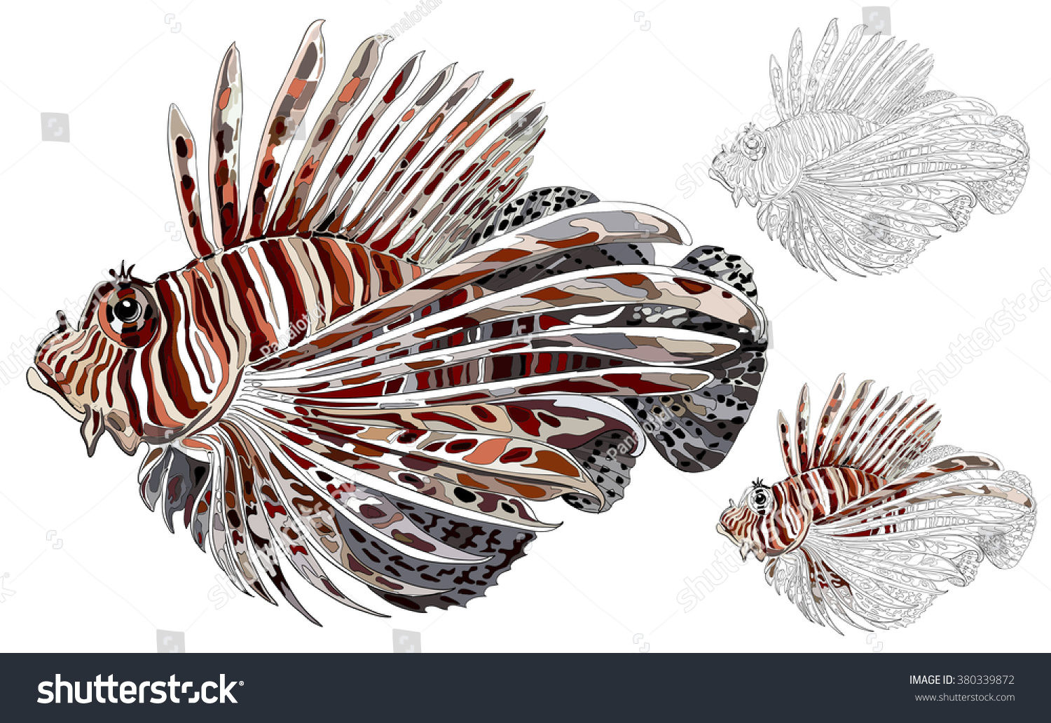 Download Red Lionfish Pterois Volitans Vector Image Stock Vector 380339872 - Shutterstock