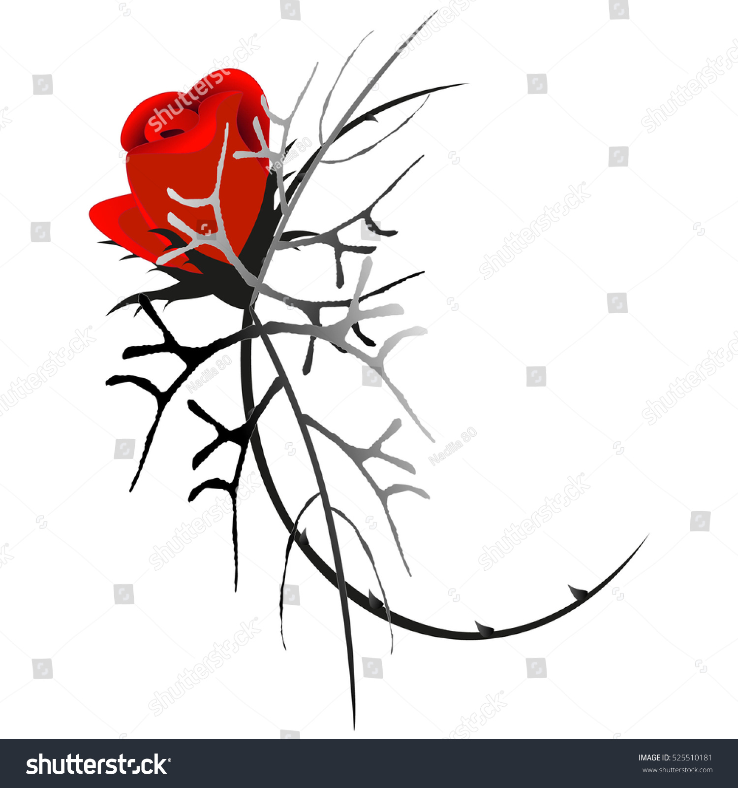 Red Rose Thorns Design Element Stock Vector 525510181 - Shutterstock