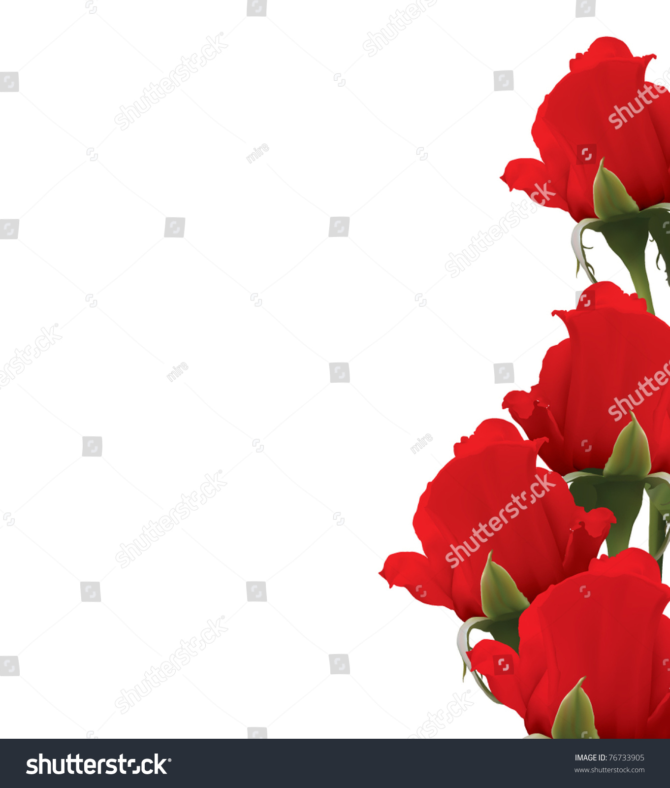 Red Roses Background Stock Vector Royalty Free 76733905 8212