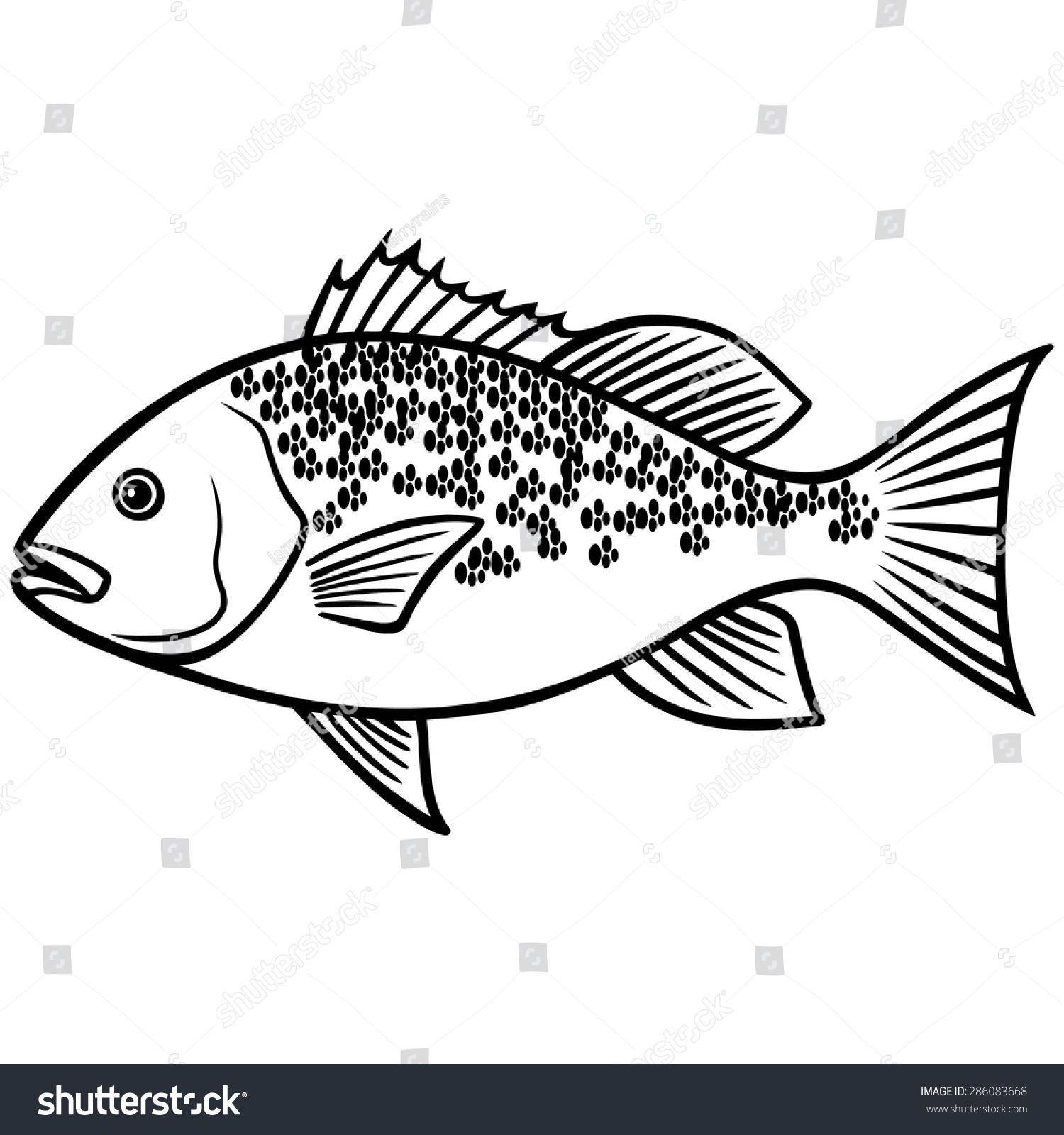 Red Snapper Fish Illustration Stock Vector (Royalty Free) 286083668