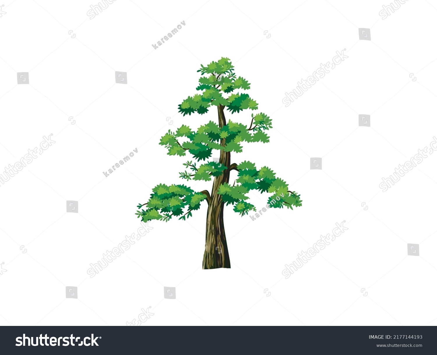 SVG of redwood tree vector illustration, the tallest tree in the world. Sequoiadendron giganteum plant logo. sequoia tree. svg
