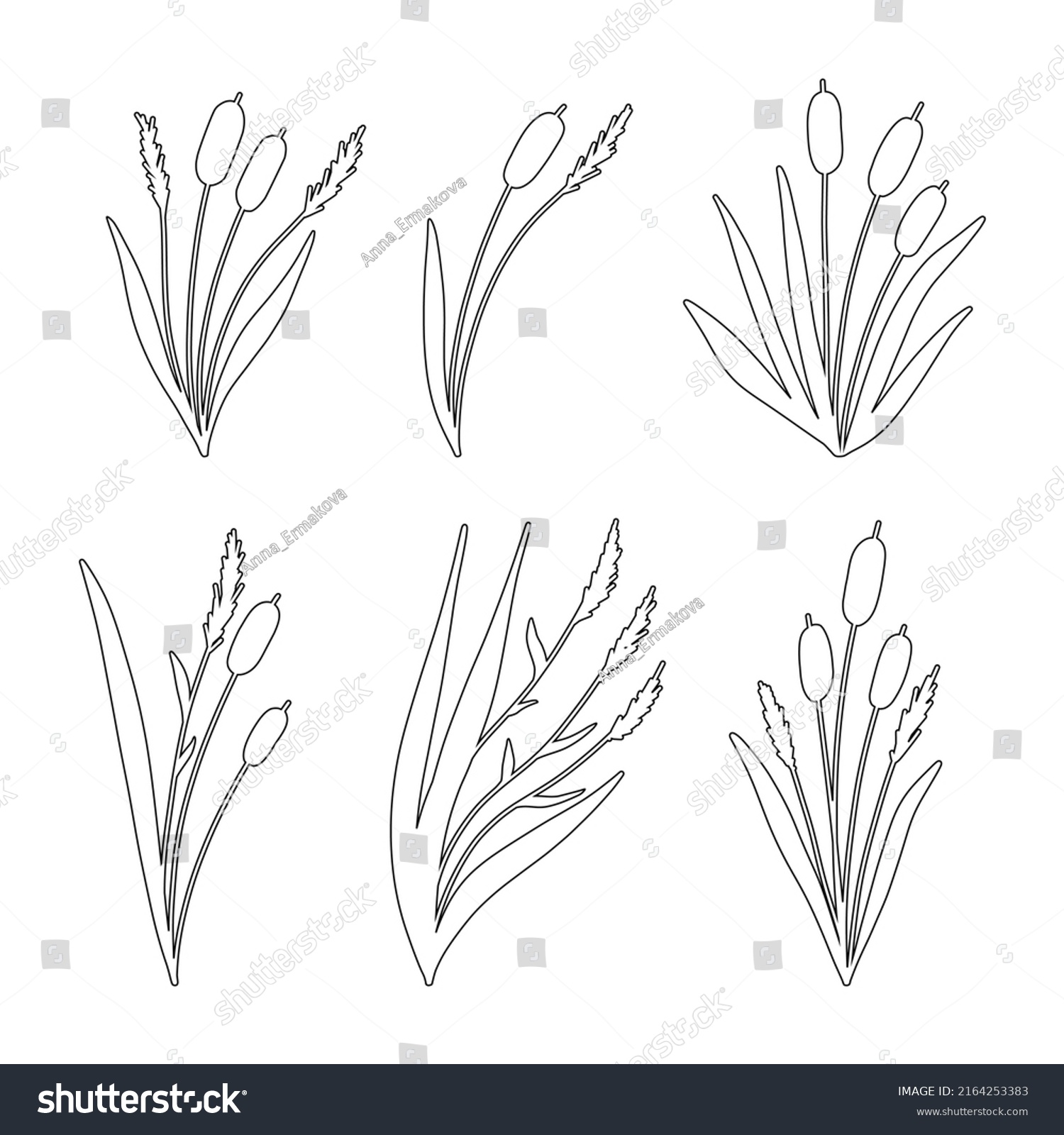 Reed Grass Outline Sketch Collection Hand Stock Vector (Royalty Free ...