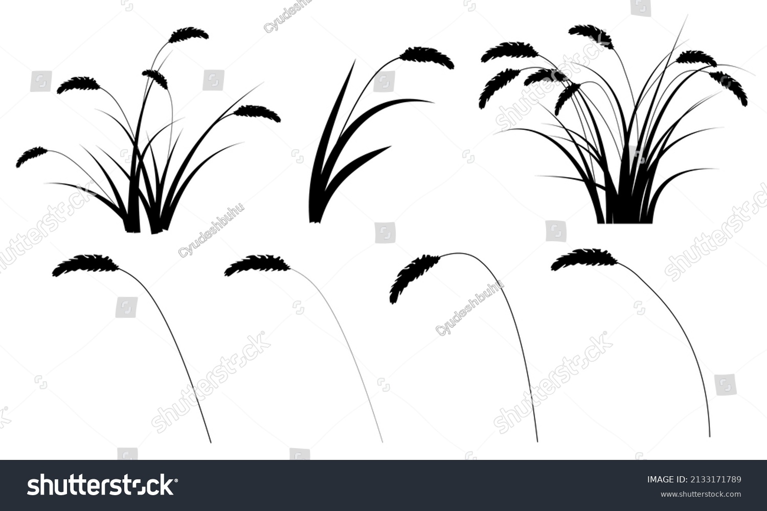 22,778 Reed illustration Stock Illustrations, Images & Vectors ...