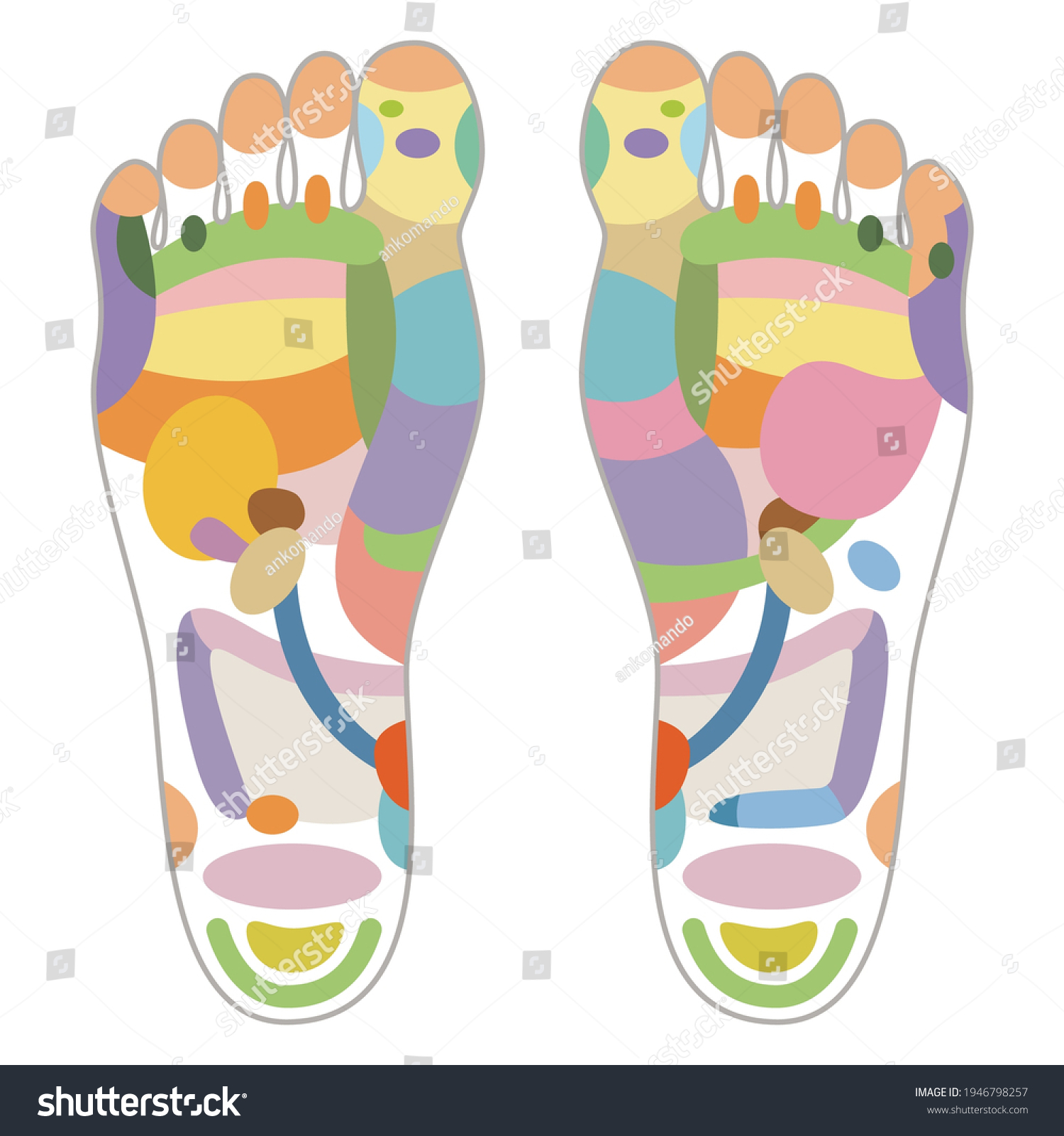 757 Reflexology zone Images, Stock Photos & Vectors | Shutterstock