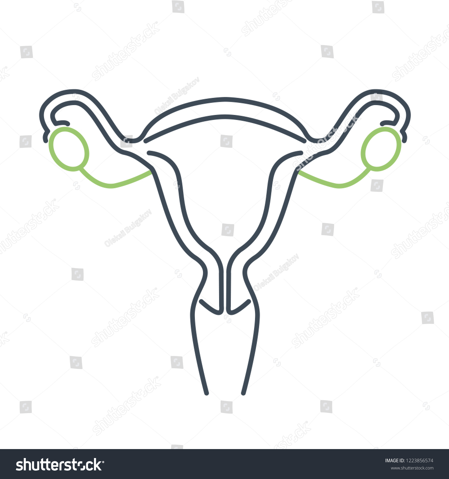 Reproductive System Female Icon Vagina Uterus Stock Vector Royalty