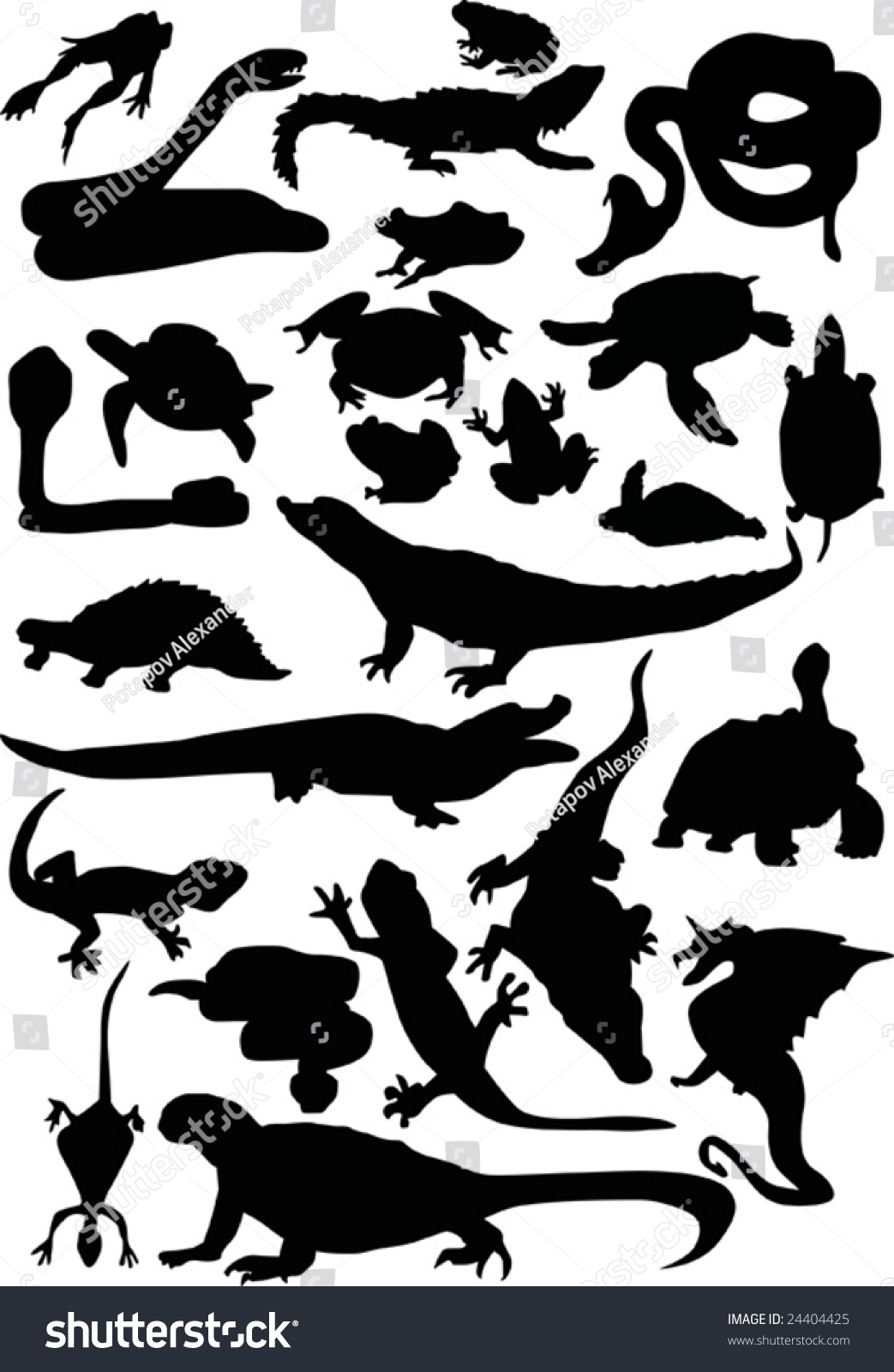 Reptile Amphibian Silhouettes Isolated On White Stock Vector 24404425 ...