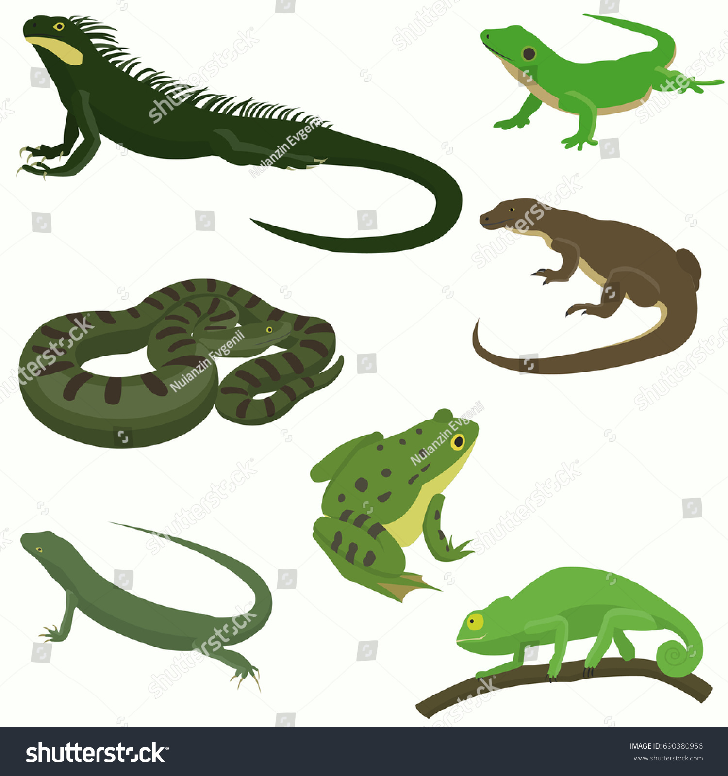 Reptiles Amphibians Decorative Set Icons Cartoon Stock Vector (Royalty ...