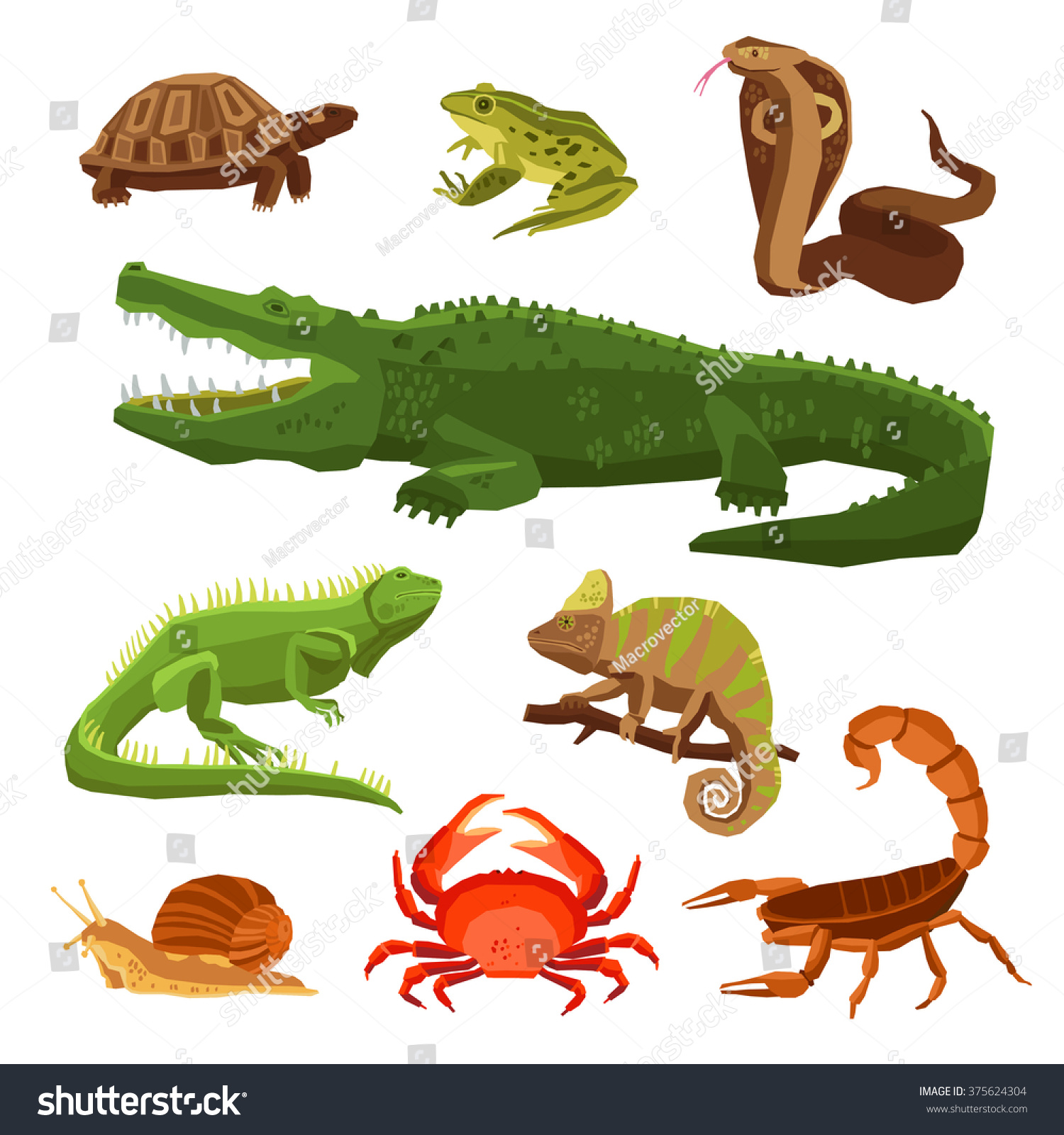 crocodile reptile or amphibian