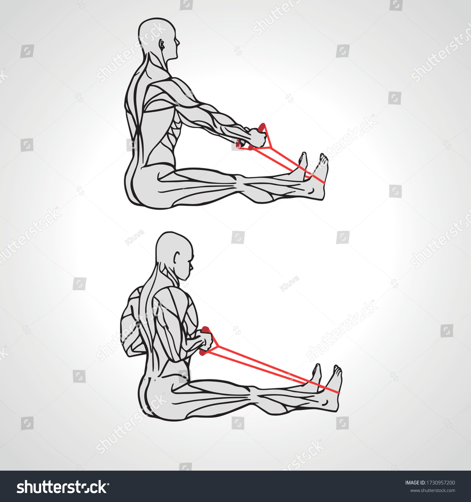 SVG of Resistance Band Upper Back Row exercise At home Bodyweight Workout Musculus scheme. Vector illustration eps10 svg