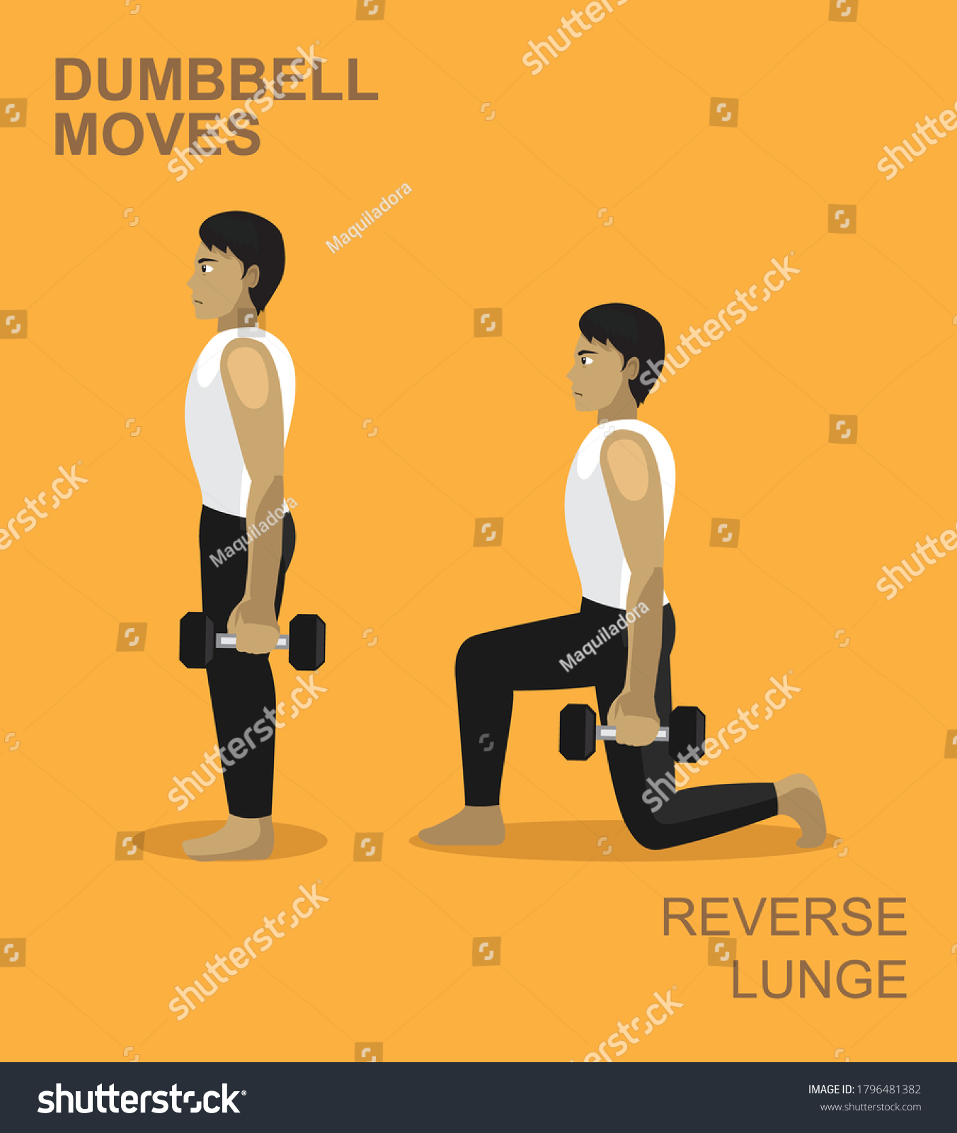 Reverse Lunge Dumbbell Moves Manga Gym Stock Vector Royalty Free 1796481382 4206