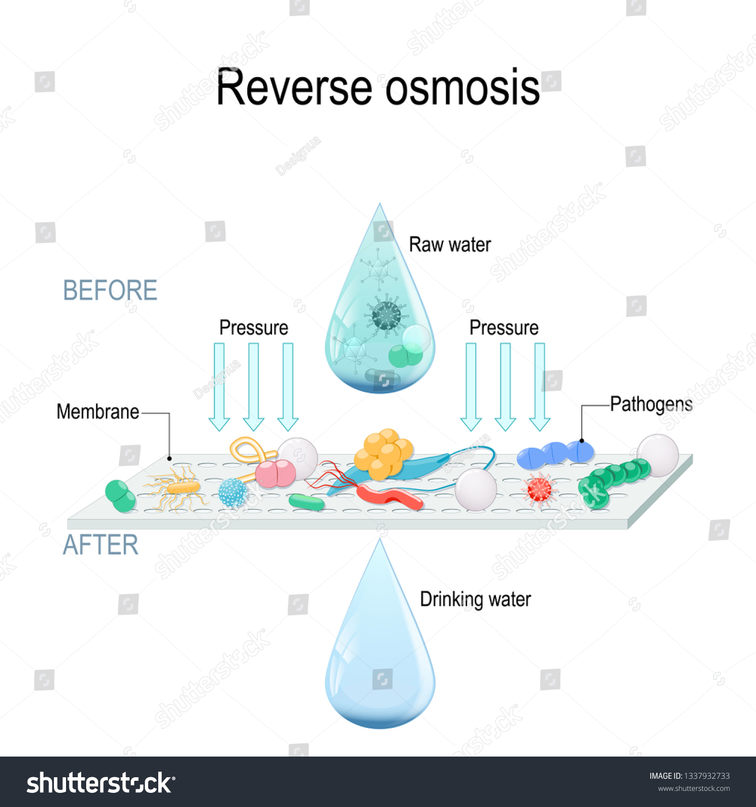 Reverse Osmosis Use Membrane Act Like Stock Vector (Royalty Free ...