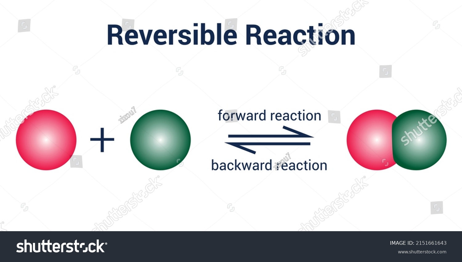 Reversible Reaction Dynamic Equilibrium Chemical Reaction Stock Vector ...