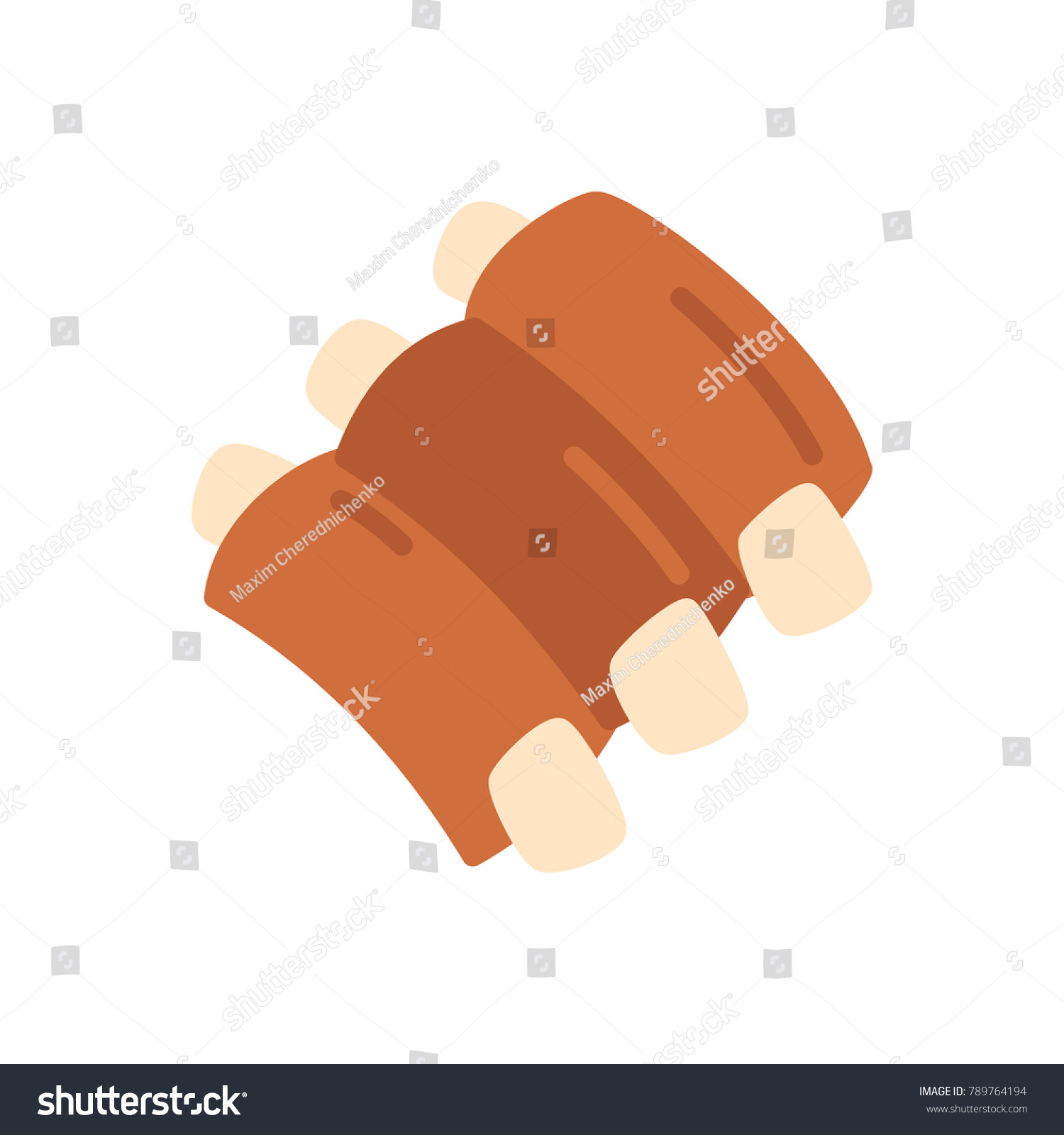 brown ribs with white bones, flat design clip art preview
