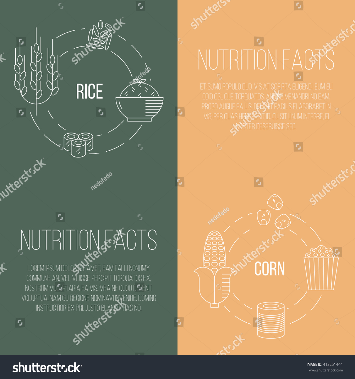 Rice Corn Nutrition Facts Background Vector vector de stock (libre de